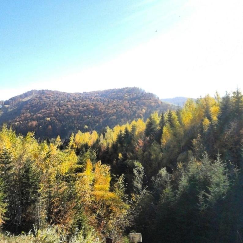 Шаленарозі Migovo Bagian luar foto