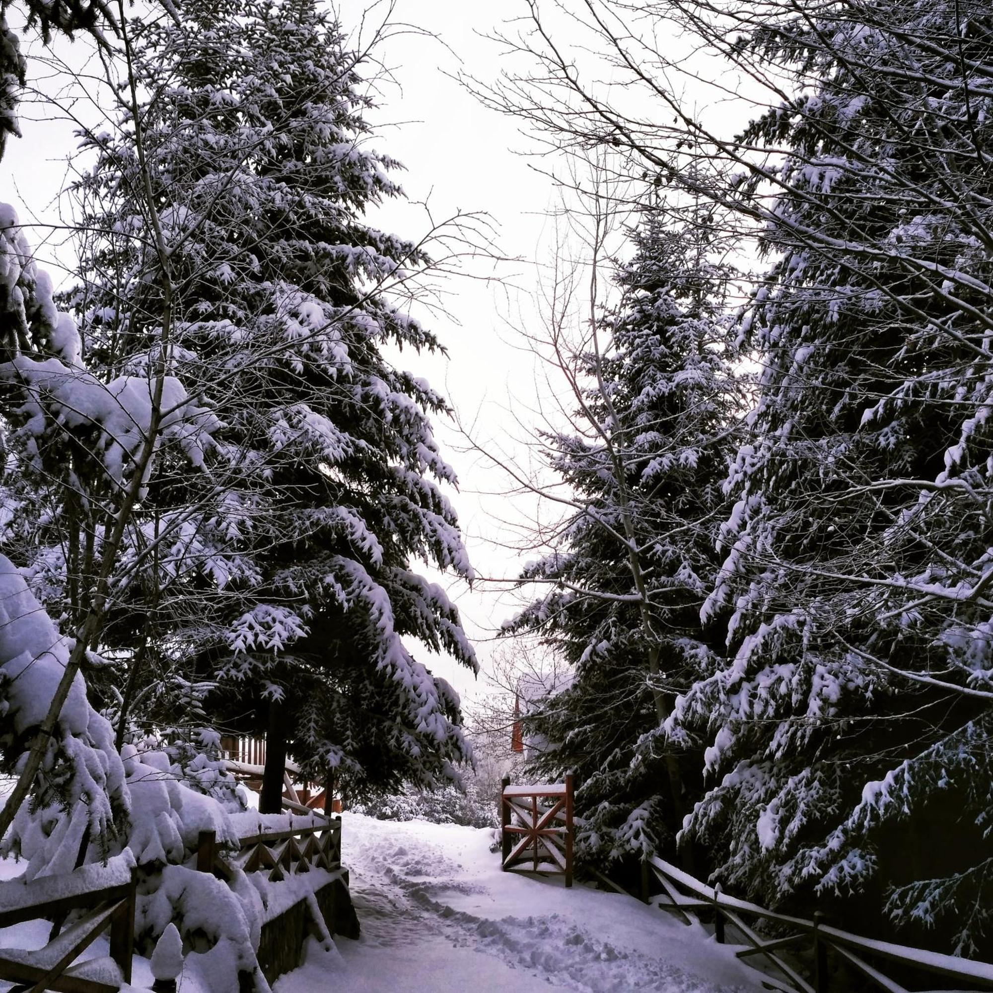 Шаленарозі Migovo Bagian luar foto