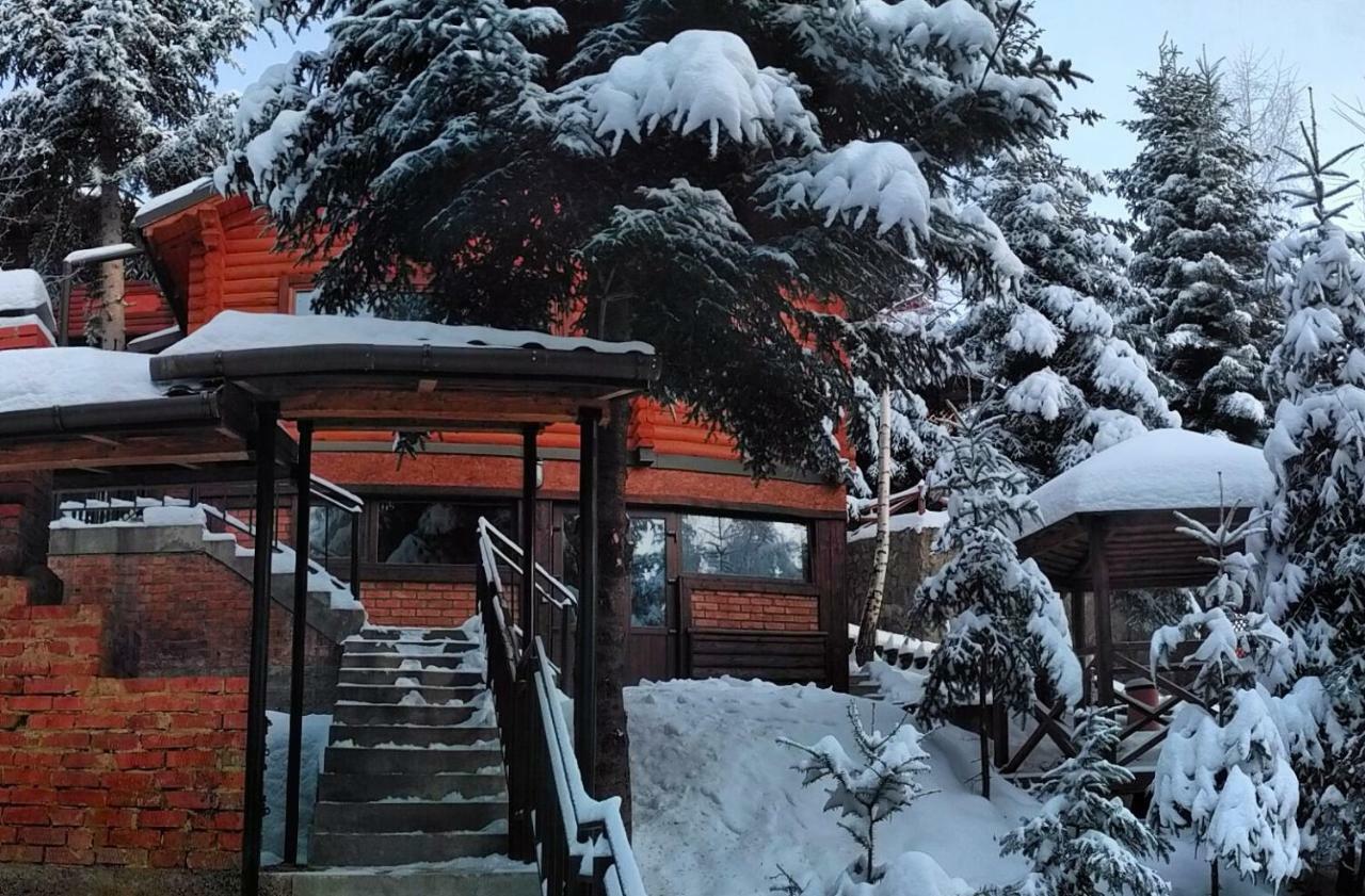Шаленарозі Migovo Bagian luar foto