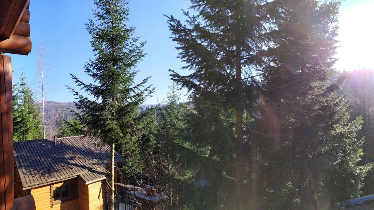 Шаленарозі Migovo Bagian luar foto