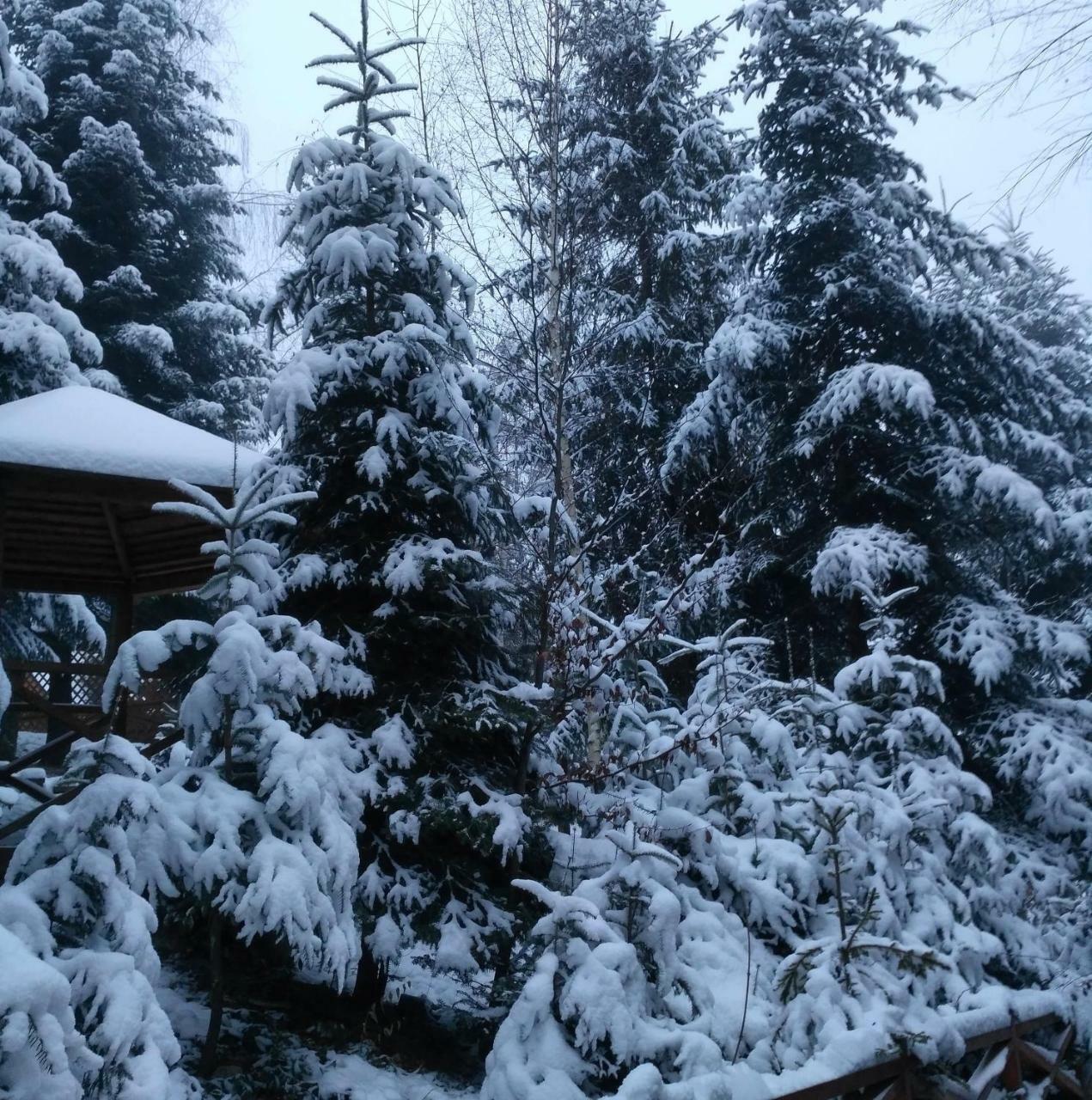 Шаленарозі Migovo Bagian luar foto