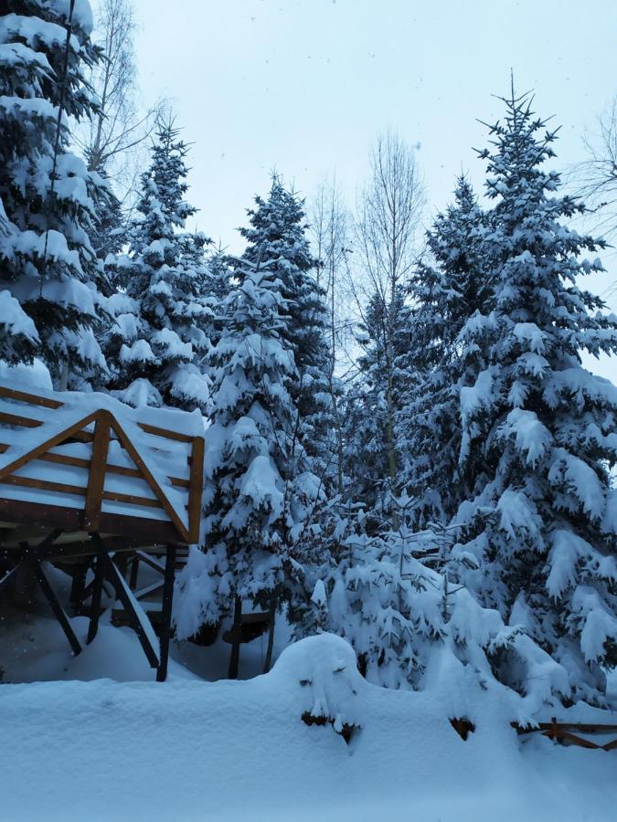 Шаленарозі Migovo Bagian luar foto